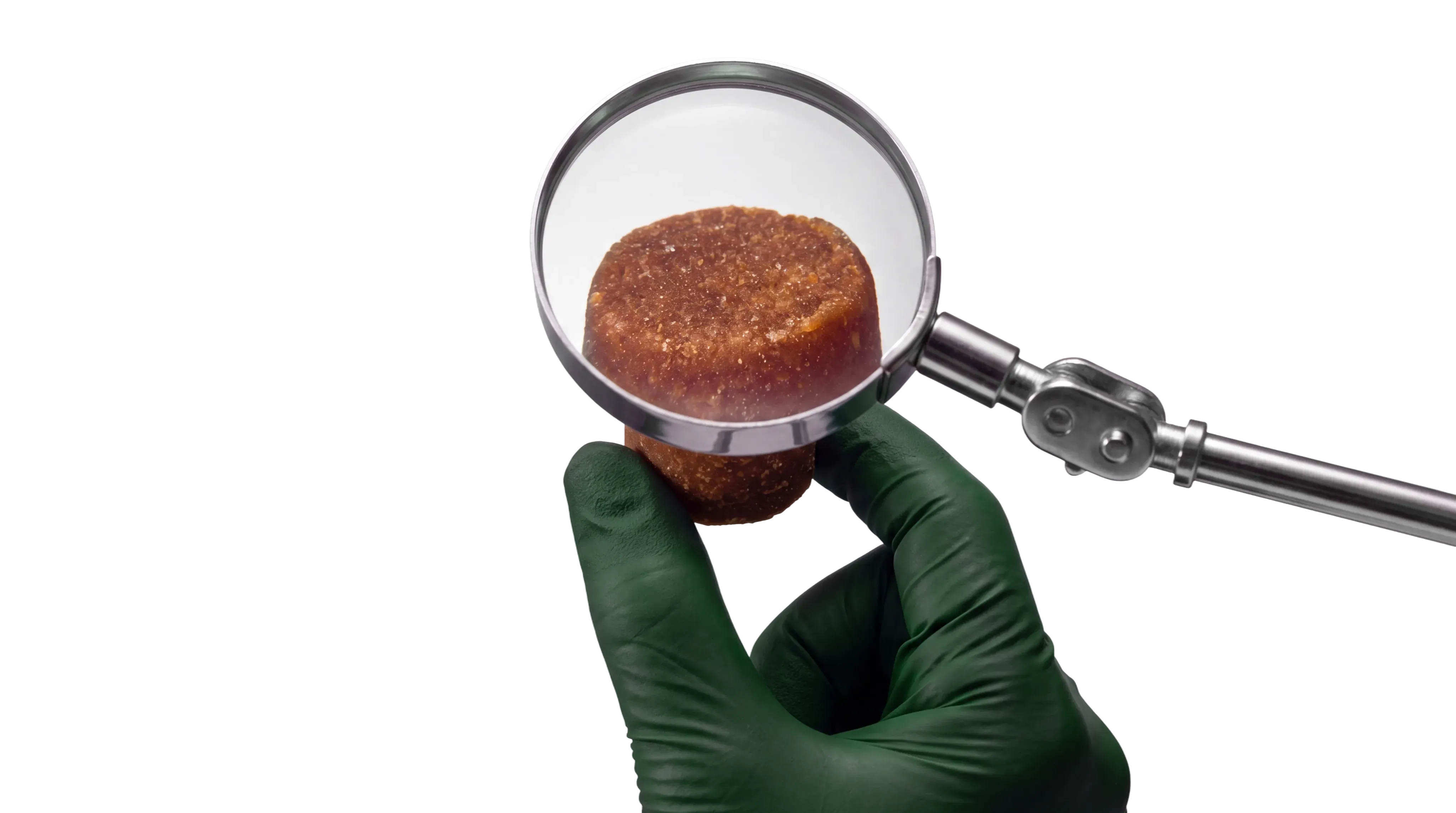 A gloved hand holding a Wuffes chew beneath a magnifying glass, the chew's texture visible through the lens