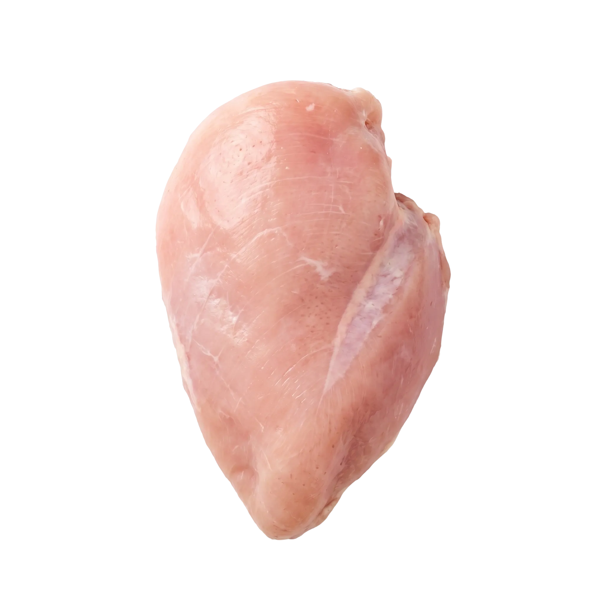 A plump raw chicken breast, skinless, seen from above
