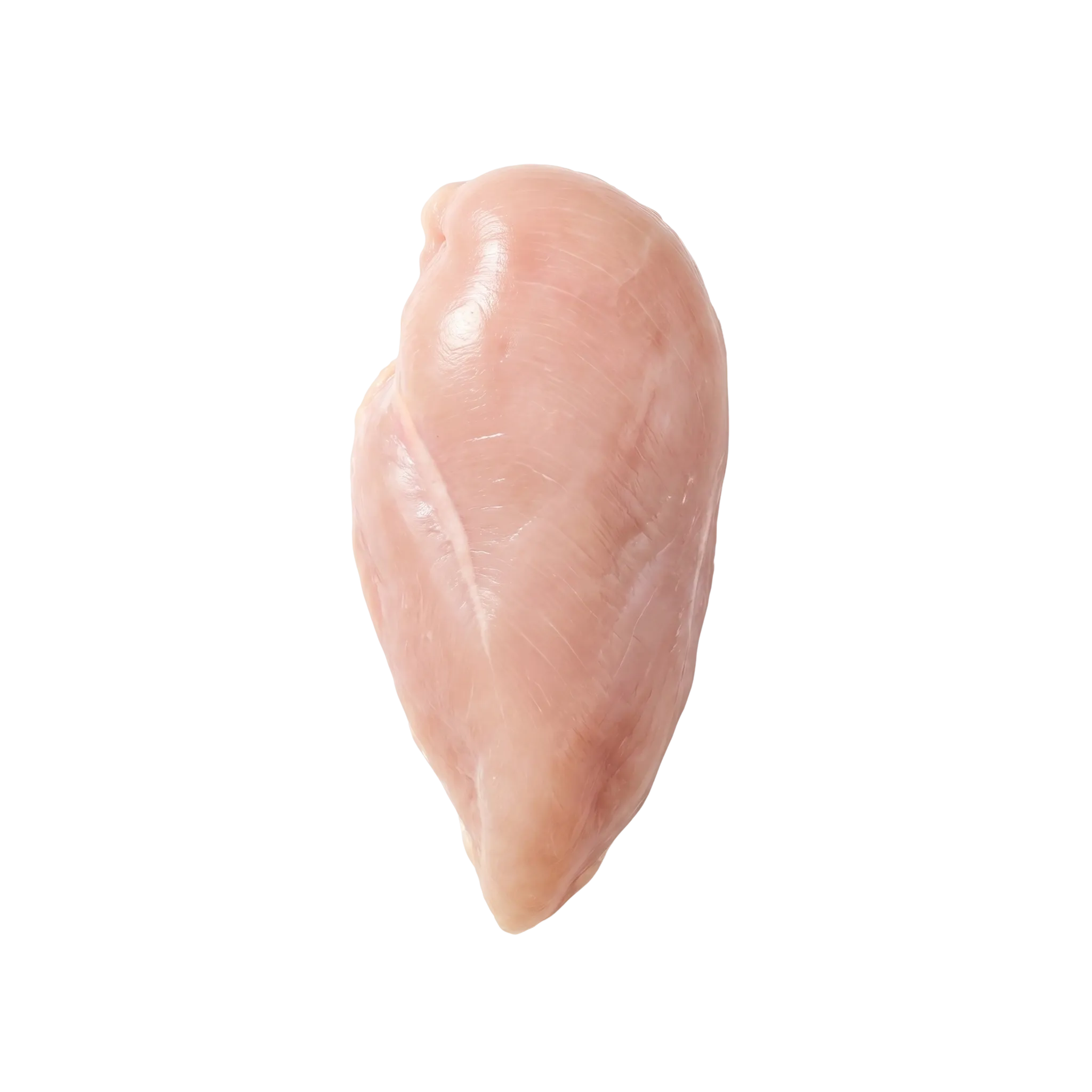 A single raw chicken breast fillet