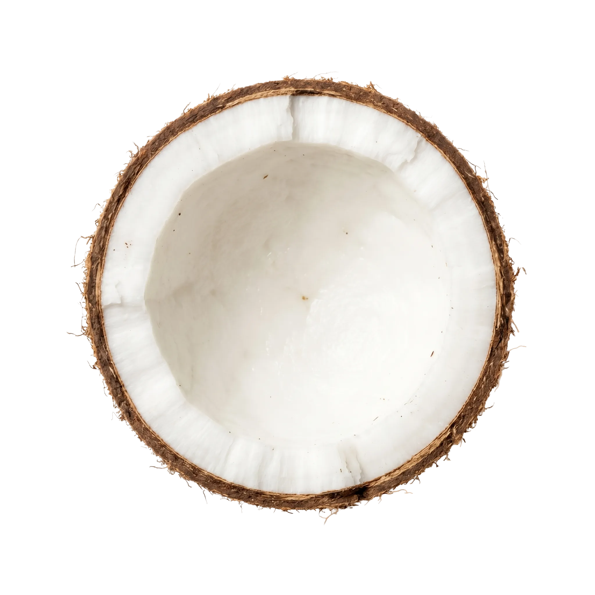 A halved coconut seen from above, its white flesh ringed by the brown husk