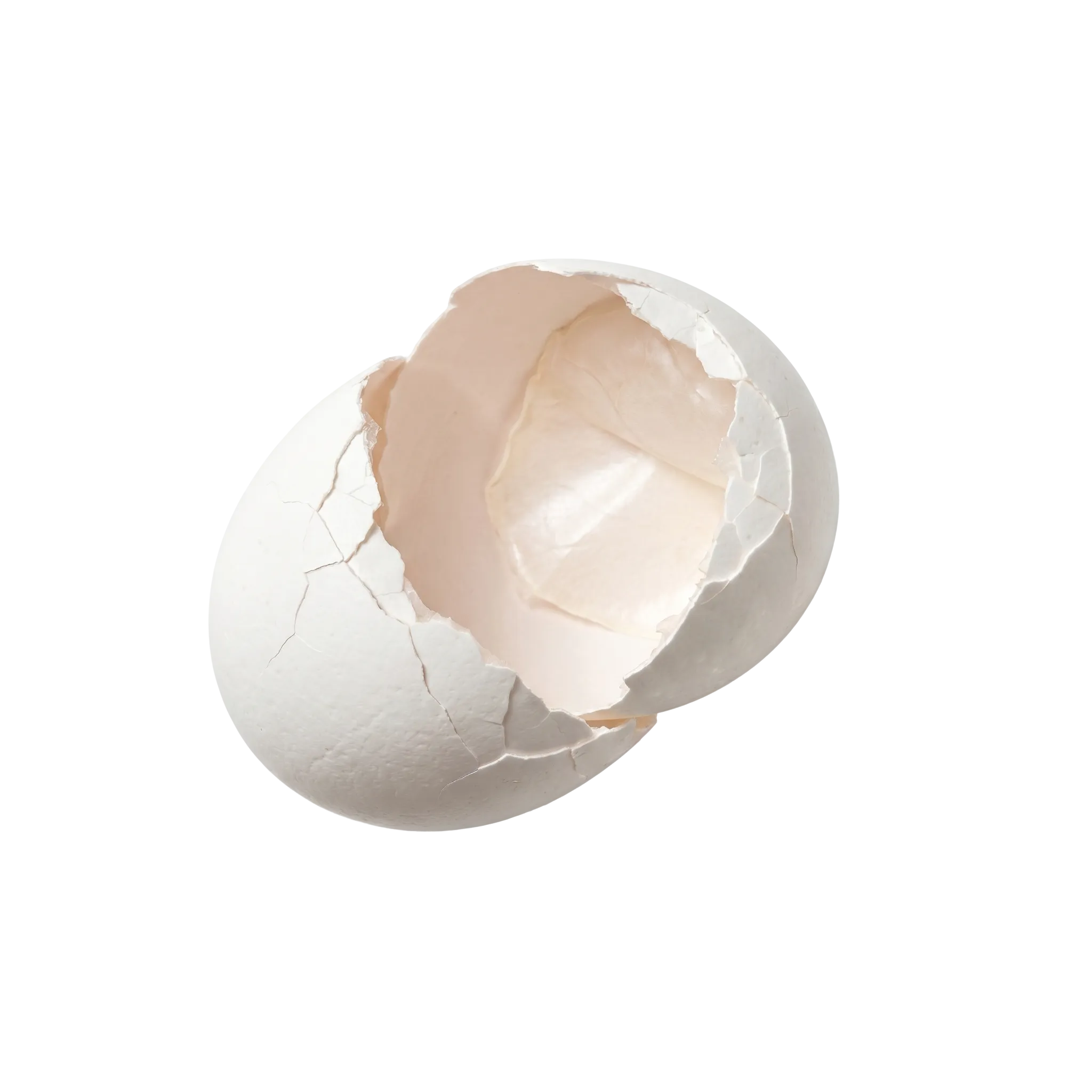 A cracked eggshell opened to show the membrane inside, the source of chondroitin