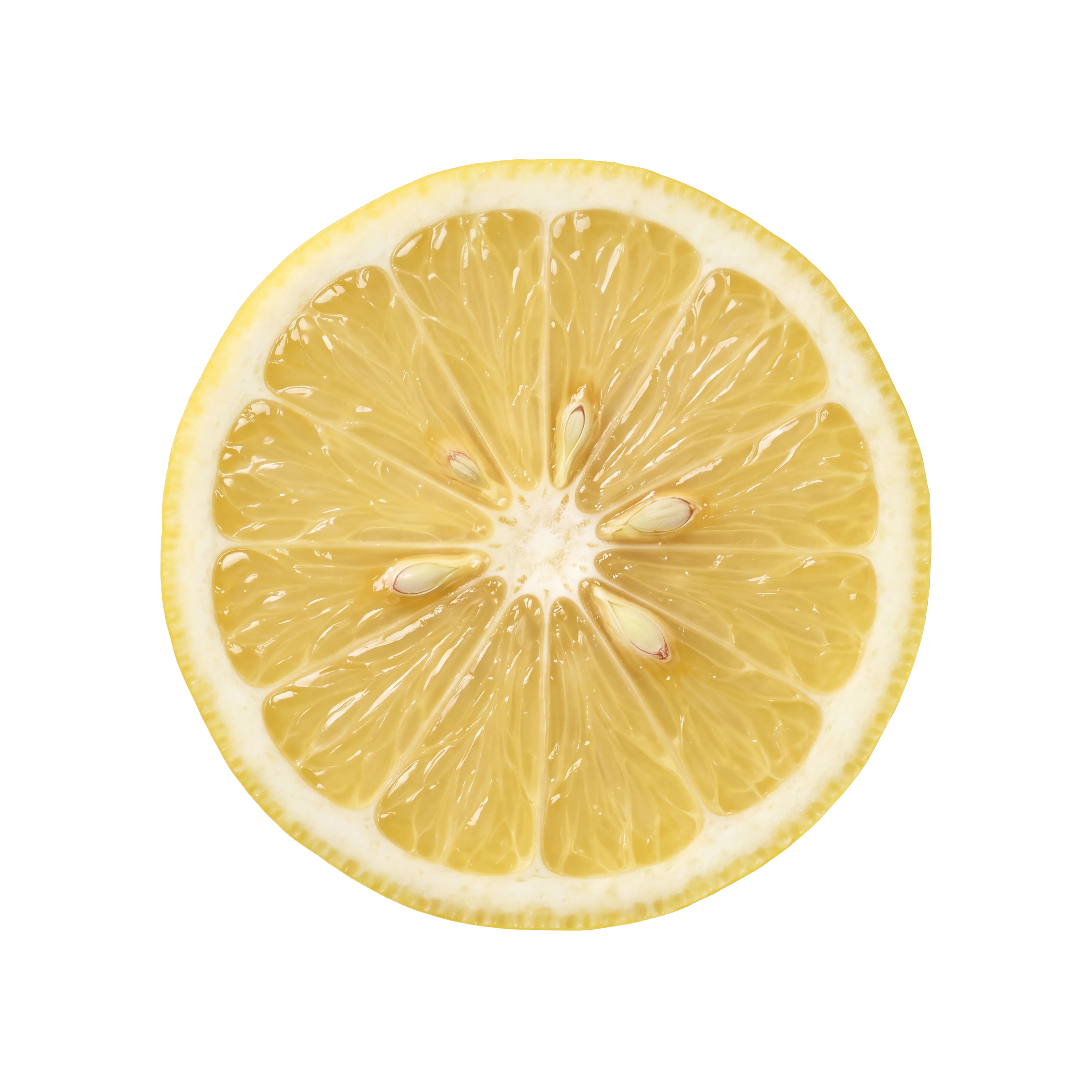 A round slice of lemon cut across the segments, pale seeds at the centre