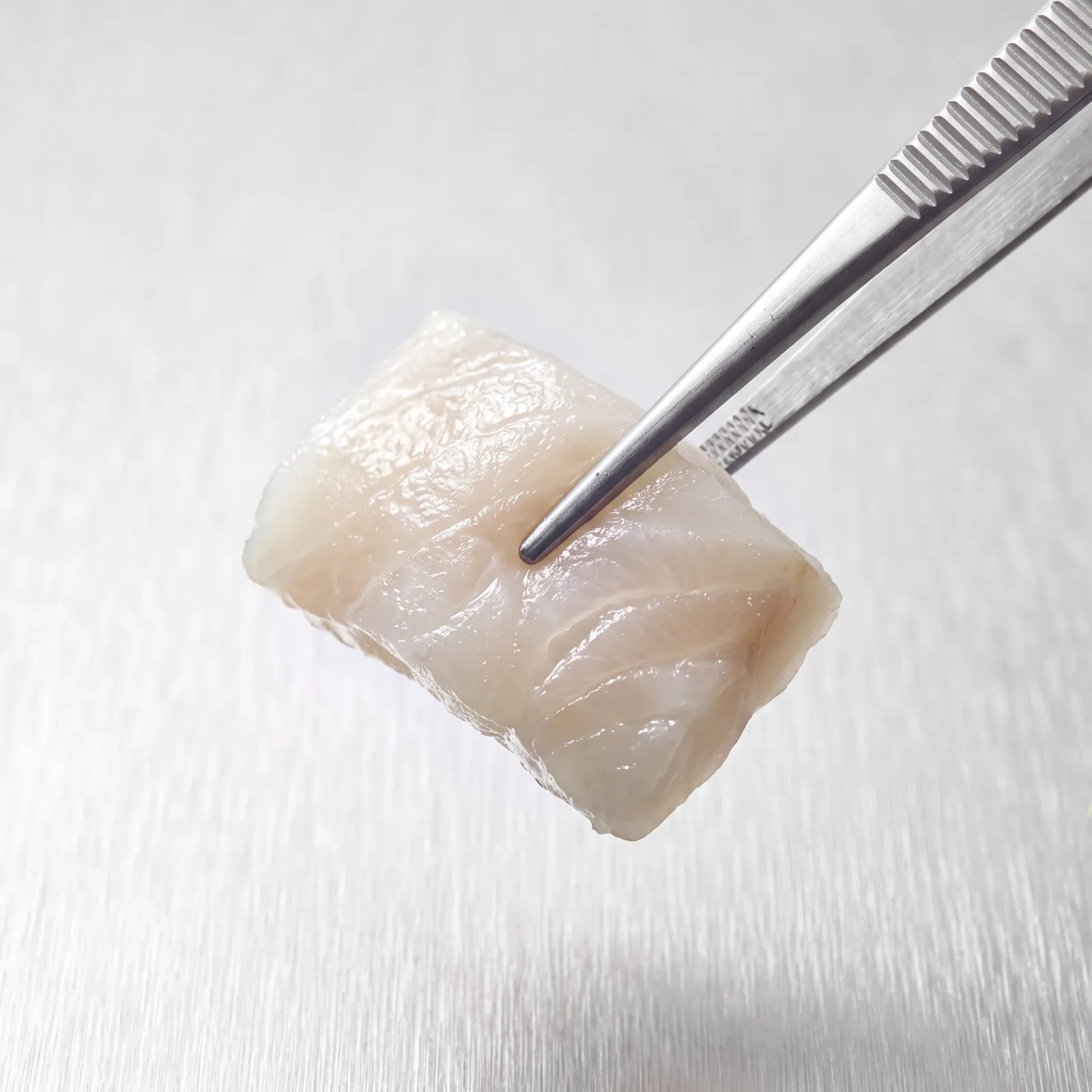 A pale raw fish fillet held above a brushed metal surface by stainless steel tweezers