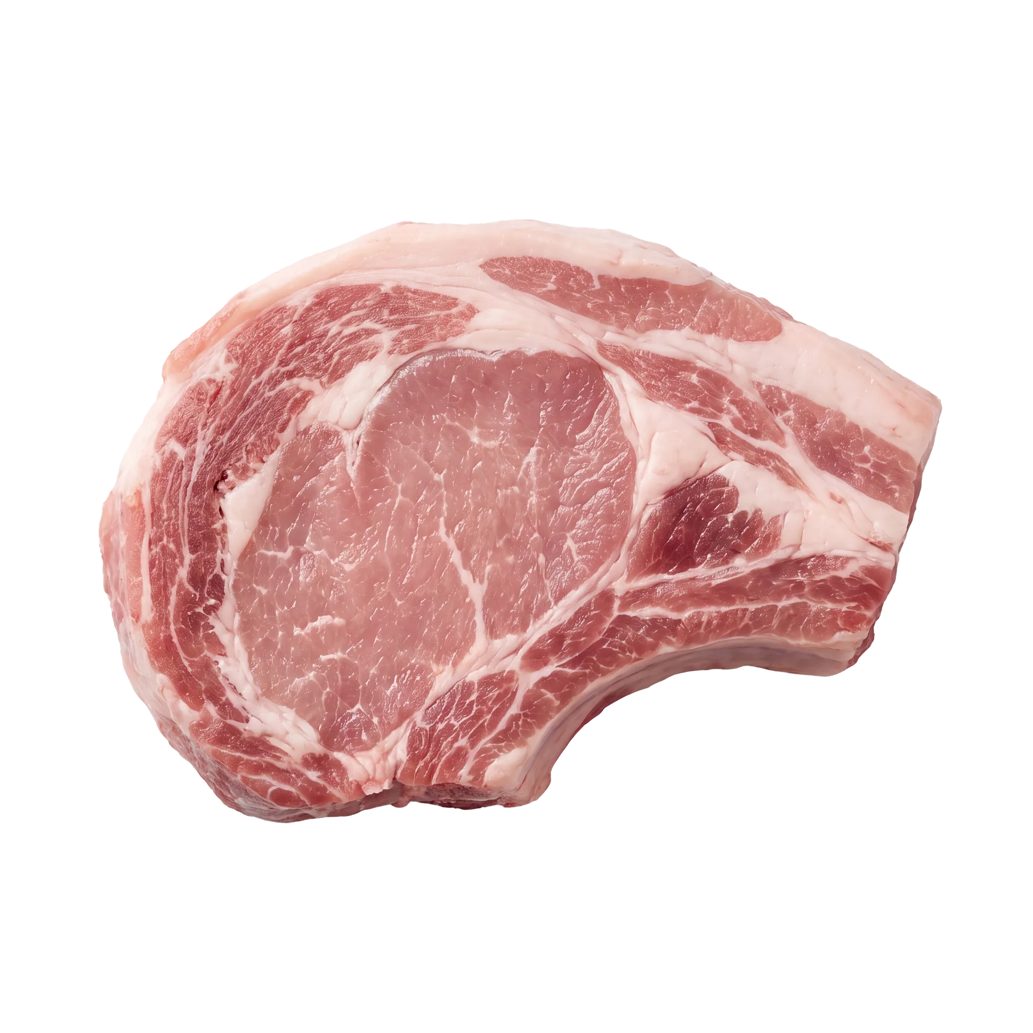 A raw bone-in pork chop, viewed from above