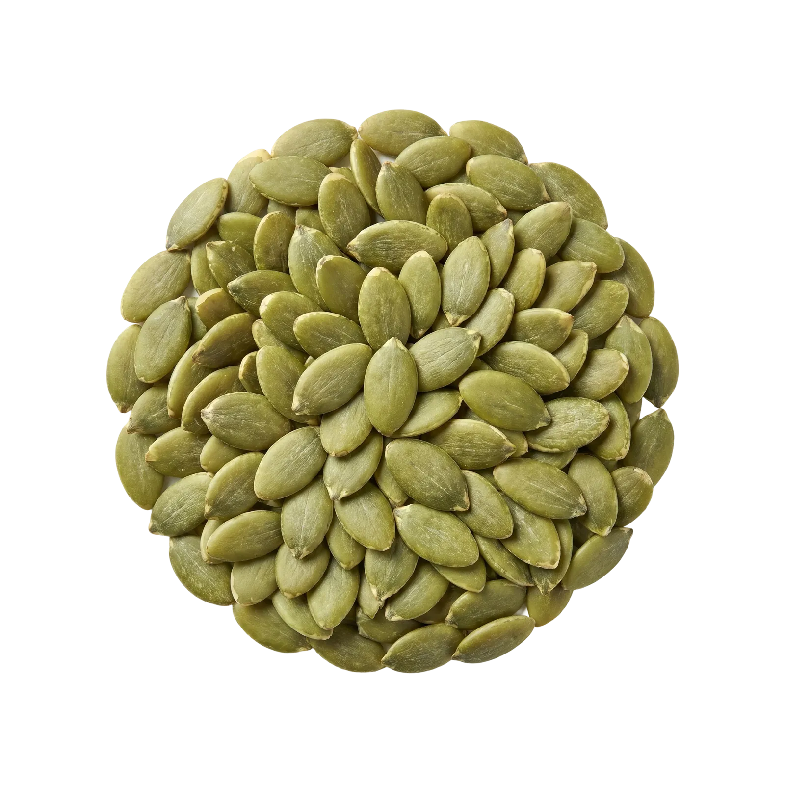 A round pile of green pumpkin seeds, viewed from above