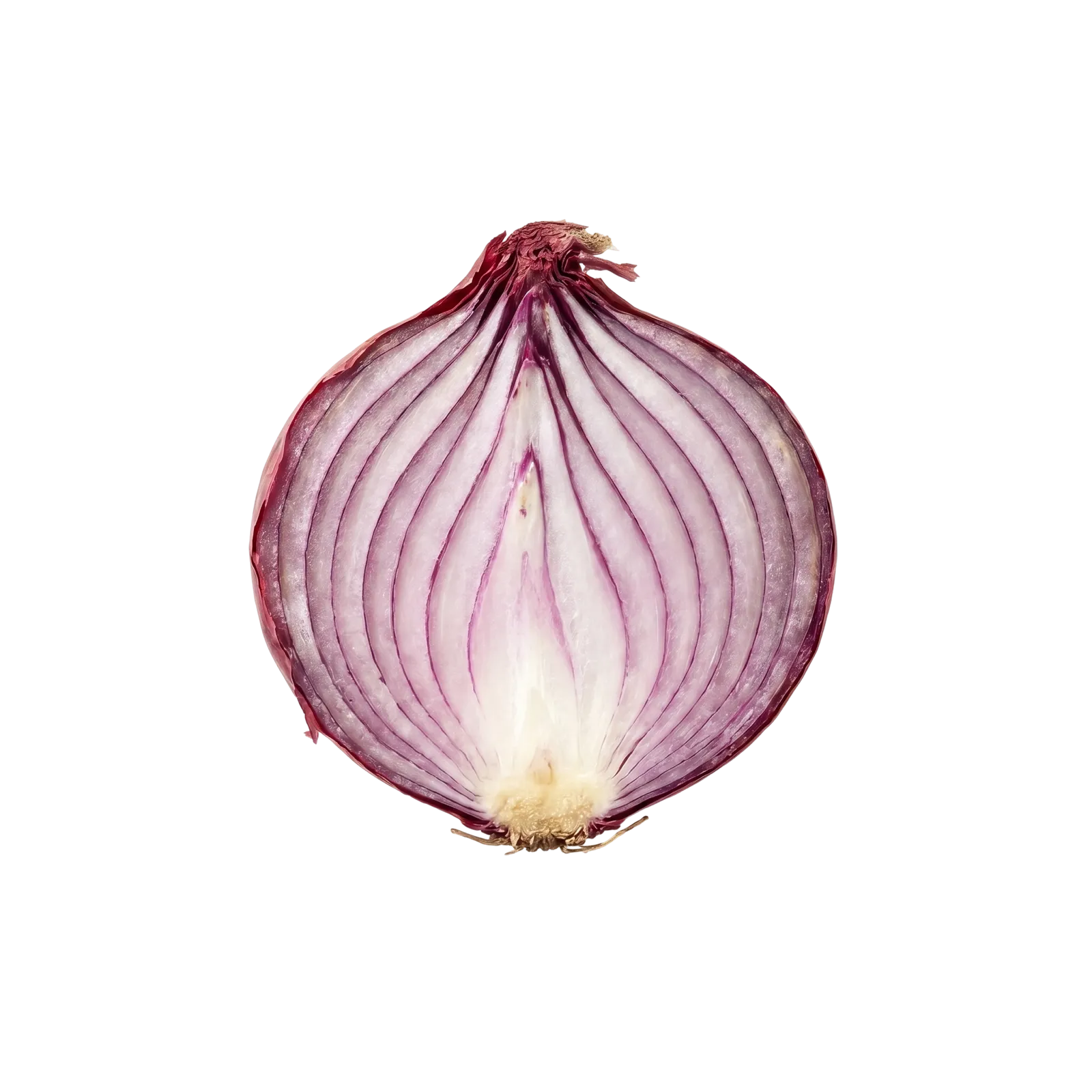 A red onion sliced in half, showing its layered rings