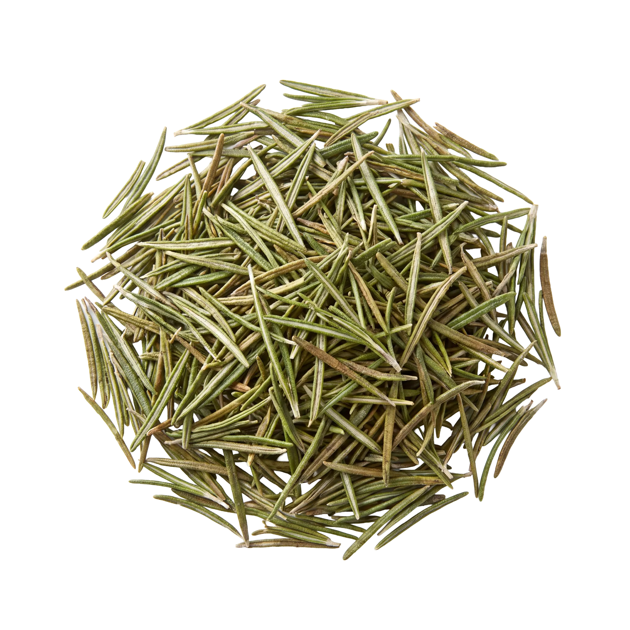 A round pile of dried green rosemary needles, viewed from above