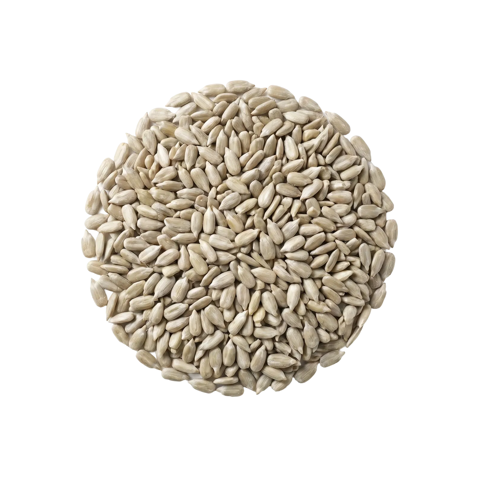 A round pile of pale sunflower seed kernels, viewed from above