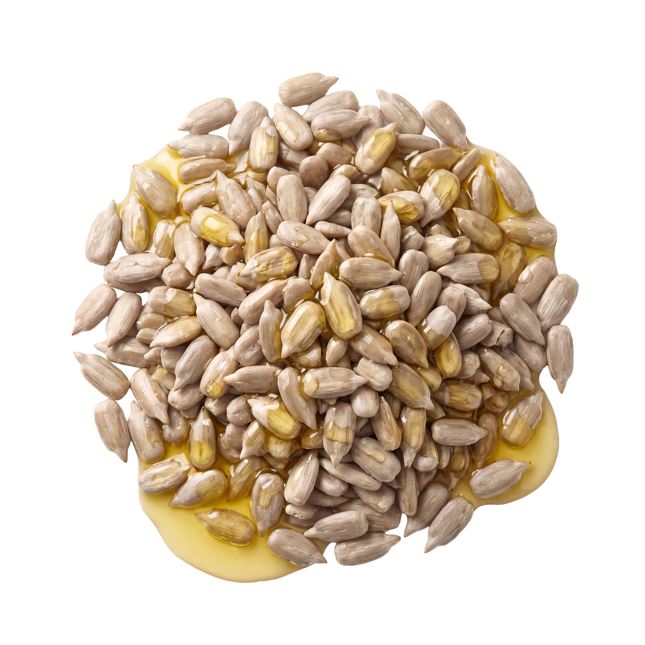 A round pile of hulled sunflower kernels sitting in a pool of golden oil