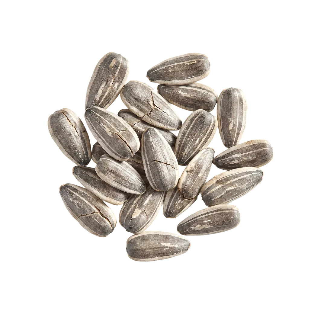 A small pile of whole striped sunflower seeds still in their shells, viewed from above