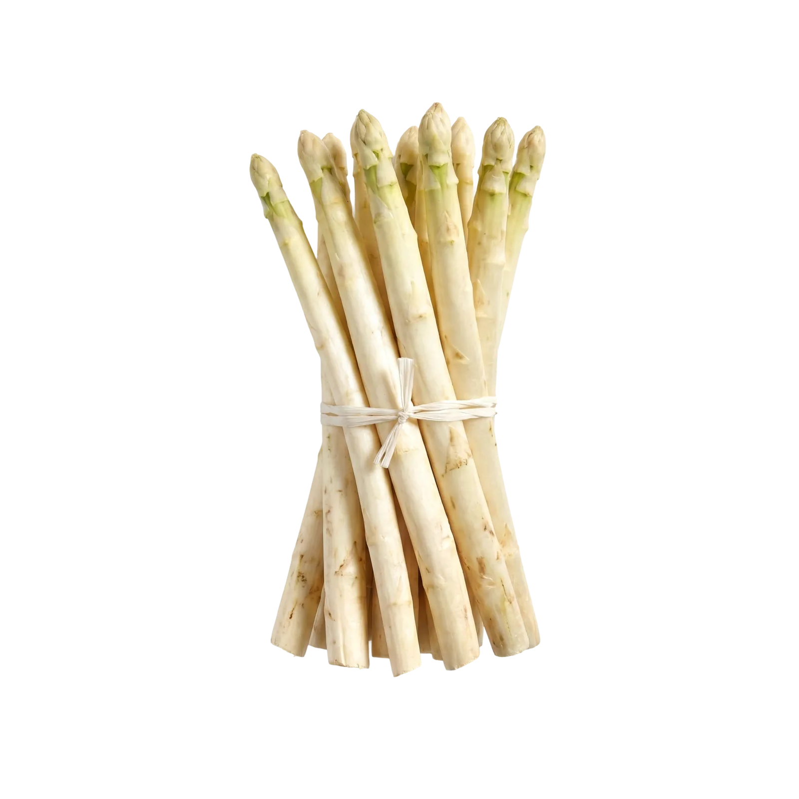 A bundle of pale asparagus spears tied together with raffia
