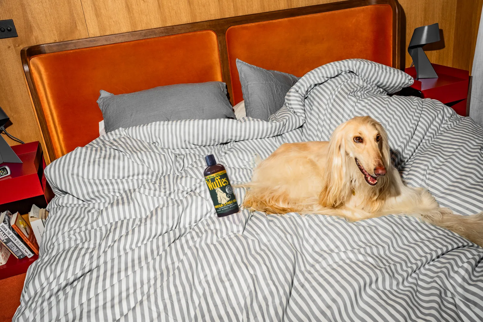 An Afghan hound lying on a grey-striped duvet beside a bottle of Wuffes Omega-3 Fish Oil