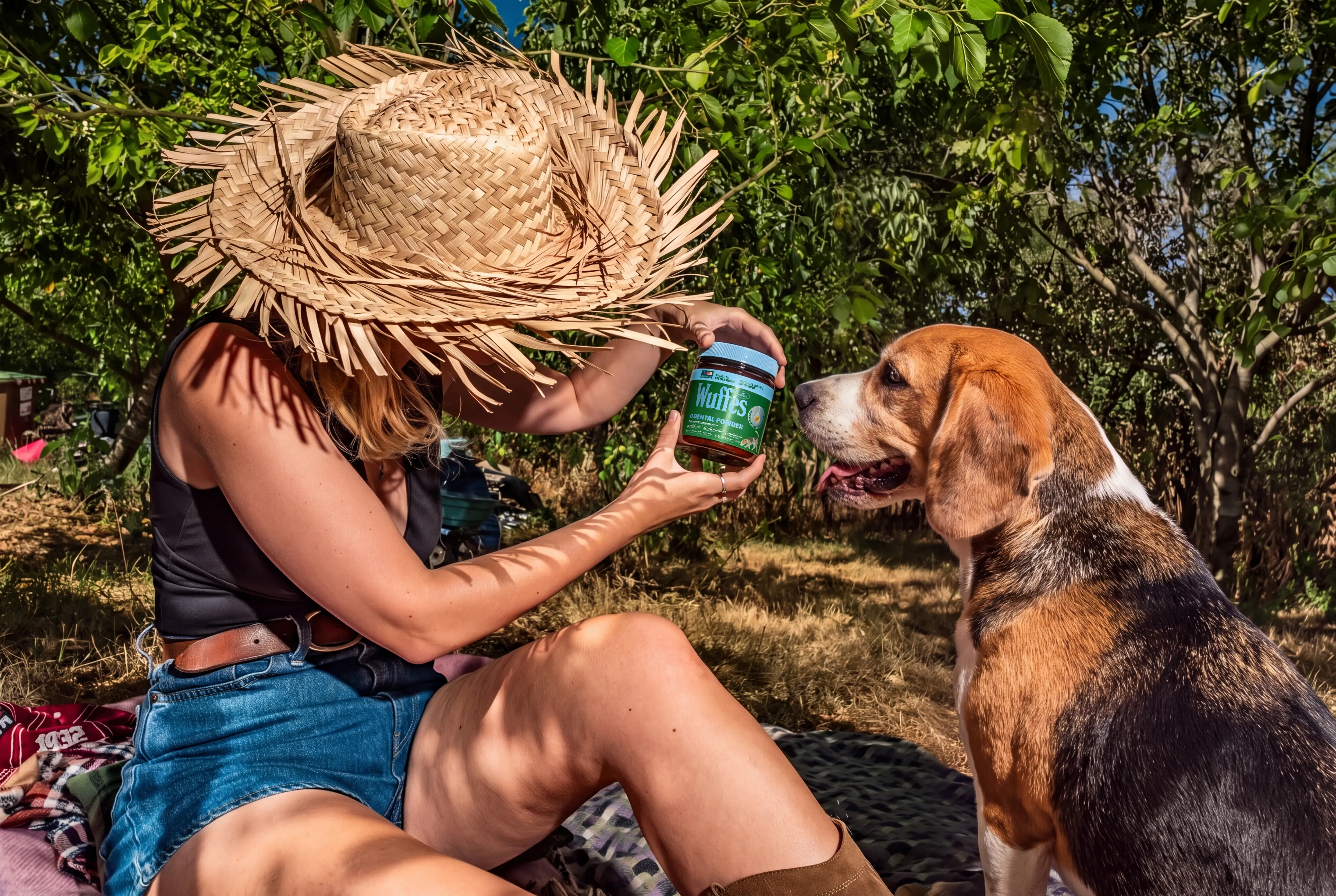 A beagle sniffs a Wuffes jar held out by a woman in a straw hat sitting in a garden
