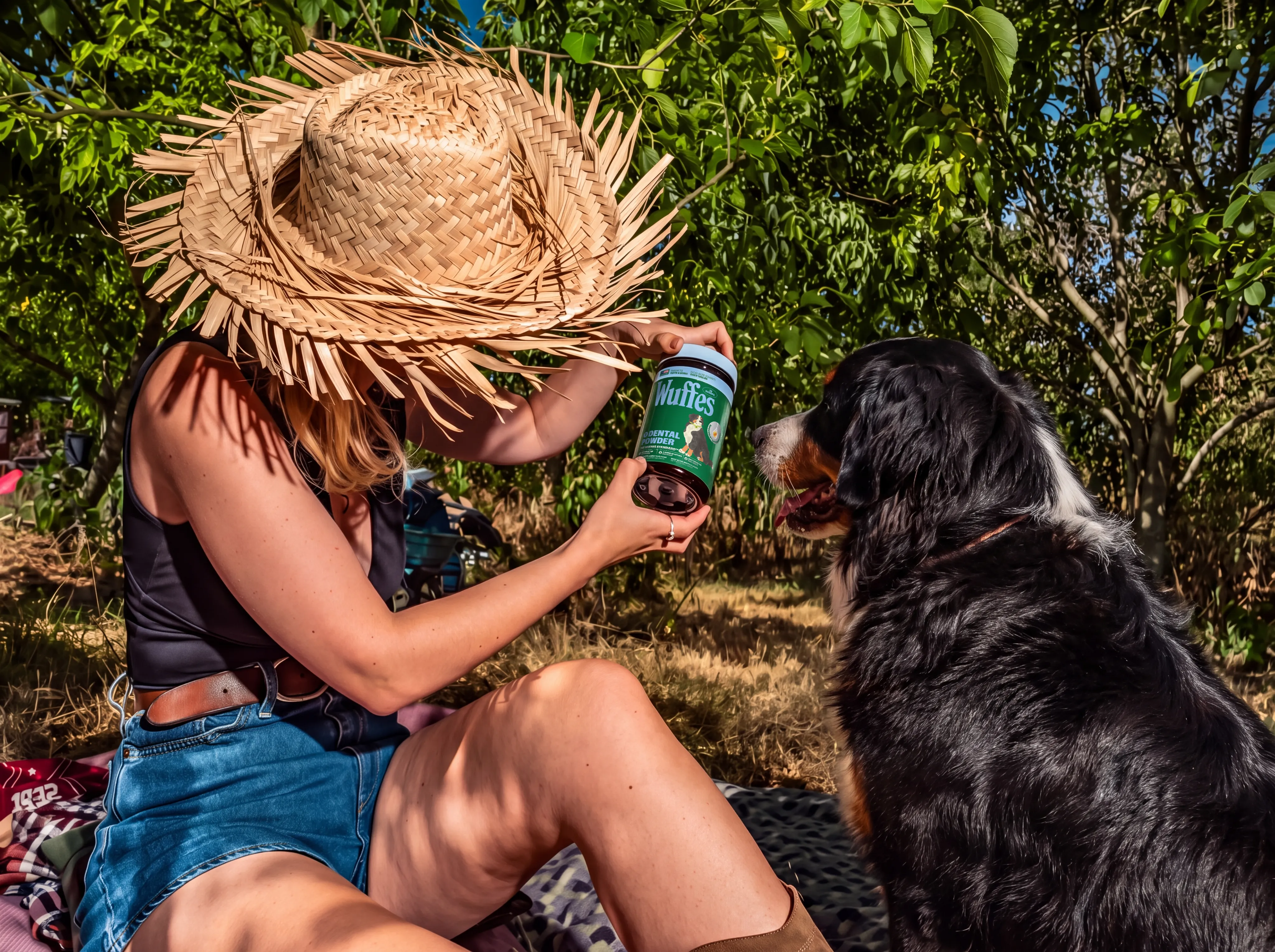 A Bernese mountain dog sniffs a Wuffes jar held out by a woman in a straw hat sitting in a garden