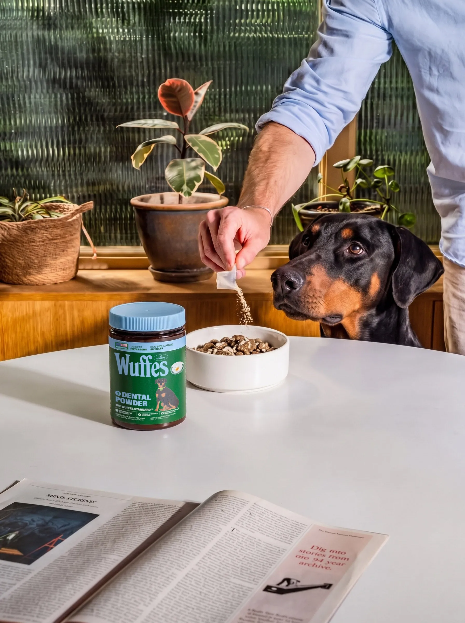 A black-and-tan dog watches from beside a white table as its owner sprinkles powder from a Wuffes Dental Powder jar over a bowl of food