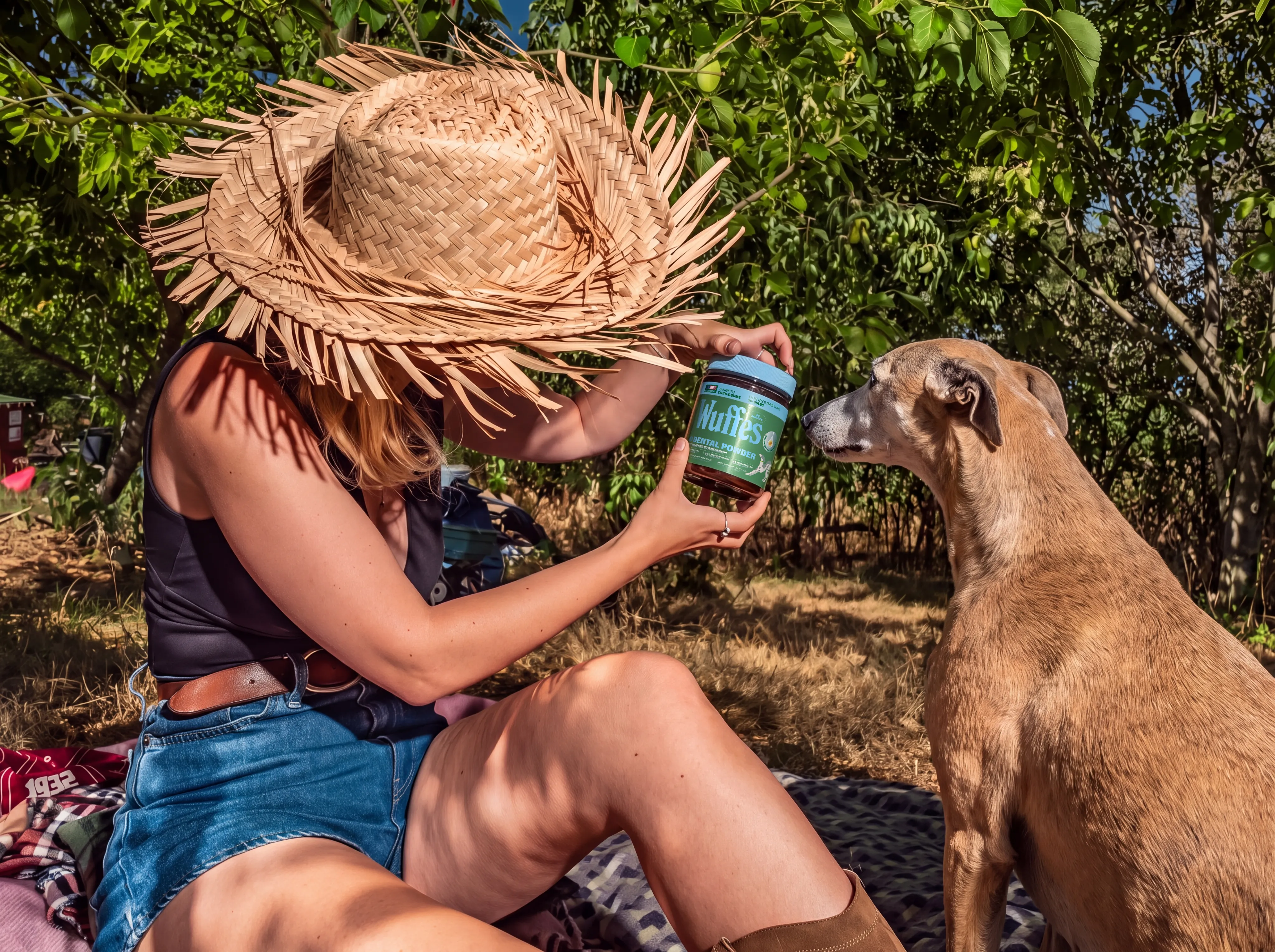 A brindle hound sniffs a Wuffes jar held out by a woman in a straw hat sitting in a garden