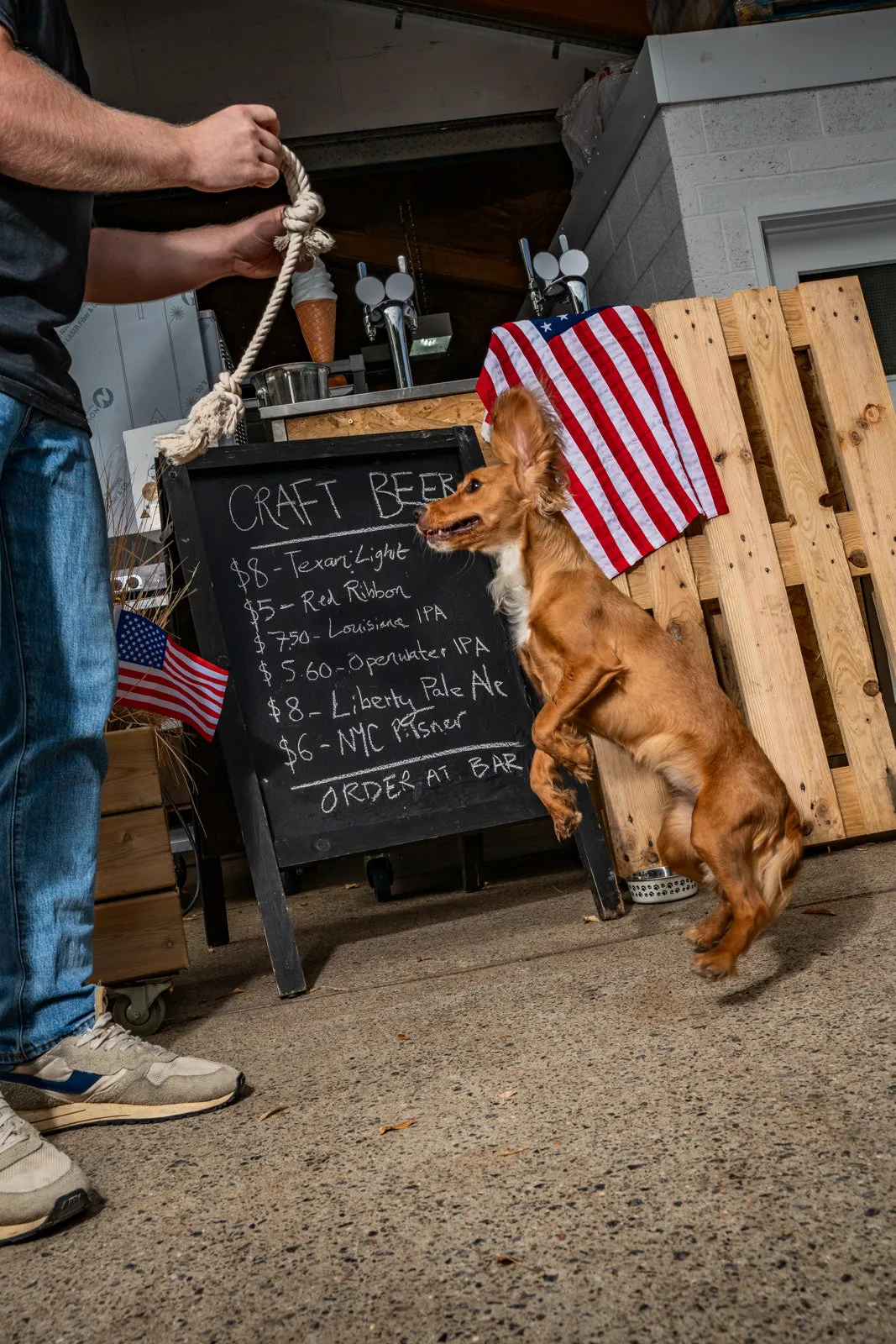 A golden cocker spaniel stands on its hind legs beside its owner in front of a chalkboard menu and an American flag