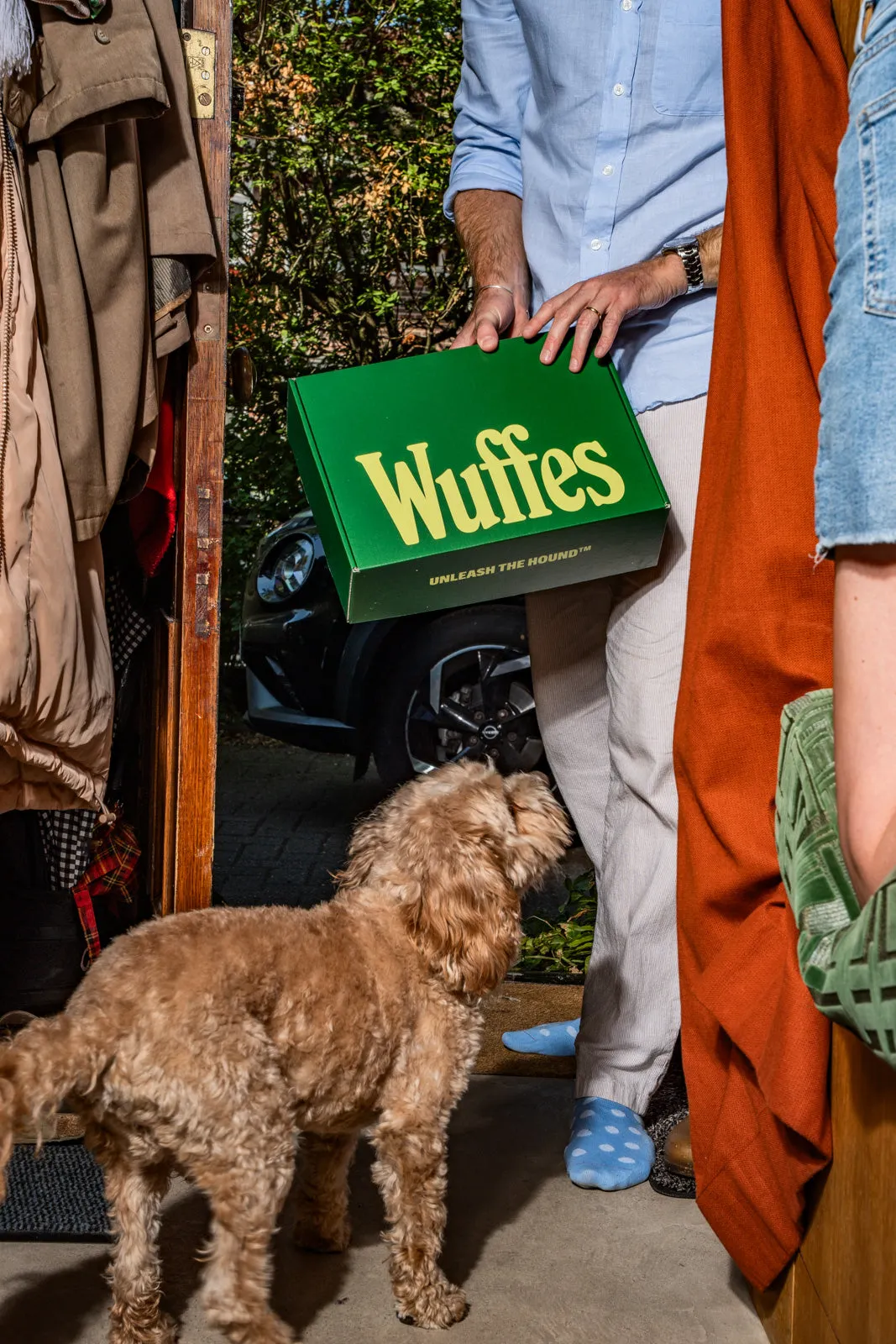 A man in a blue shirt carrying a green Wuffes delivery box through a doorway while a curly tan cockapoo looks up at it