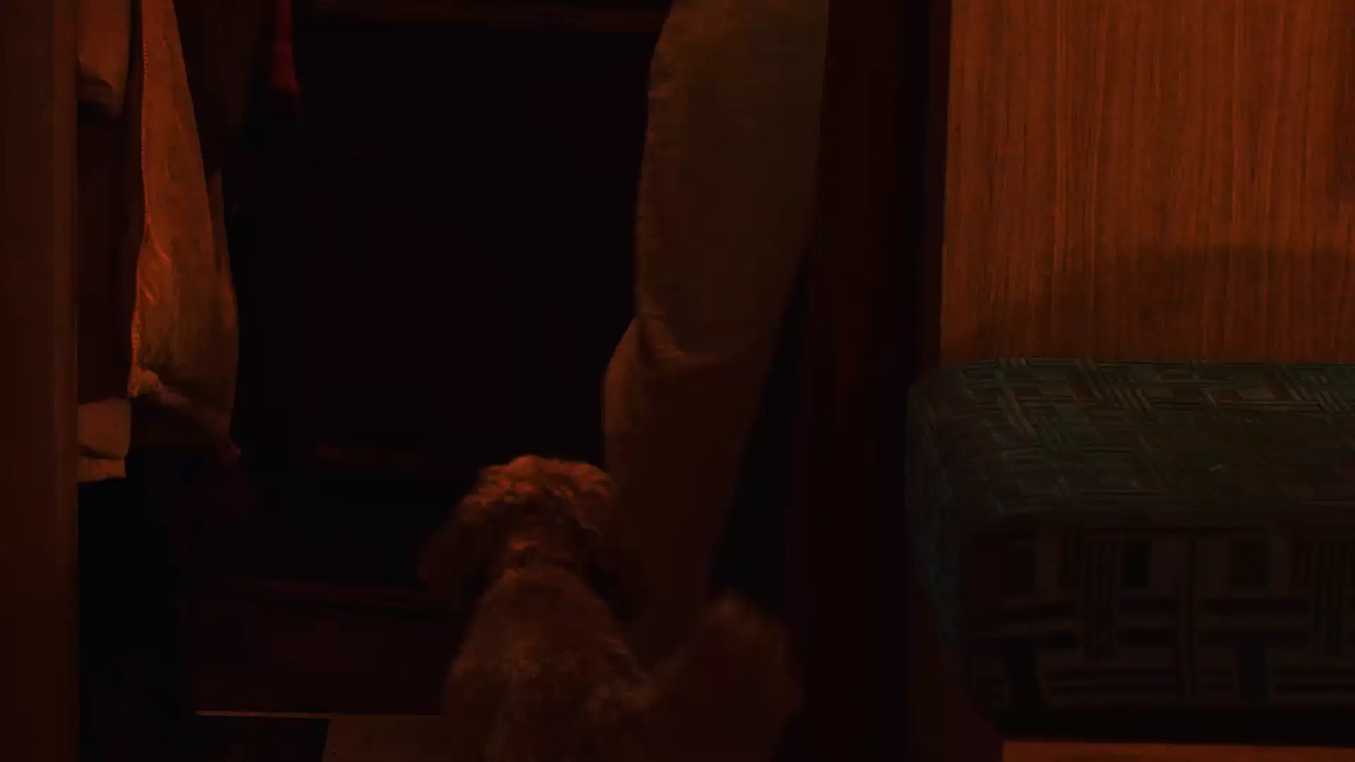 A curly red poodle waiting in a dark hallway by the front door