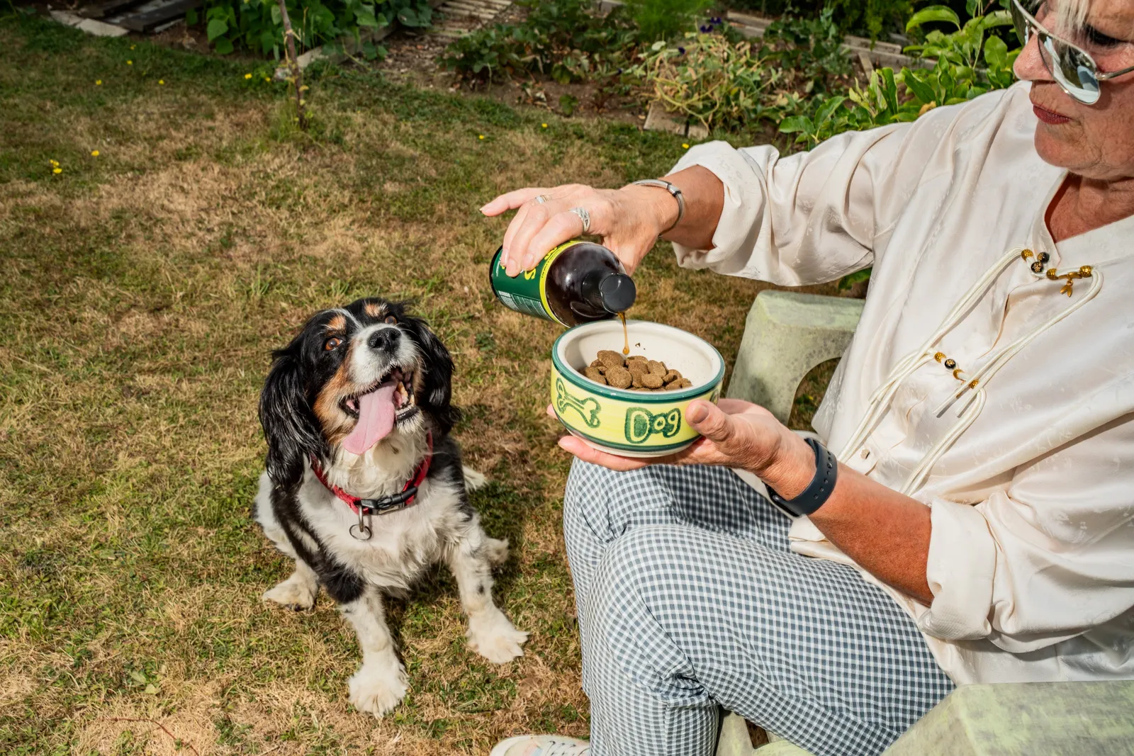 A woman pours liquid from a Wuffes bottle into a food bowl while a black-and-white spaniel sits waiting on the lawn