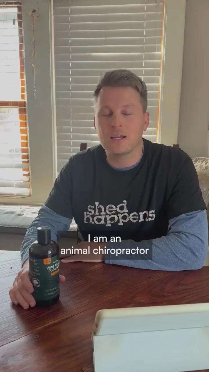 An animal chiropractor in a dark t-shirt at a table with a bottle of Wuffes fish oil, talking to camera
