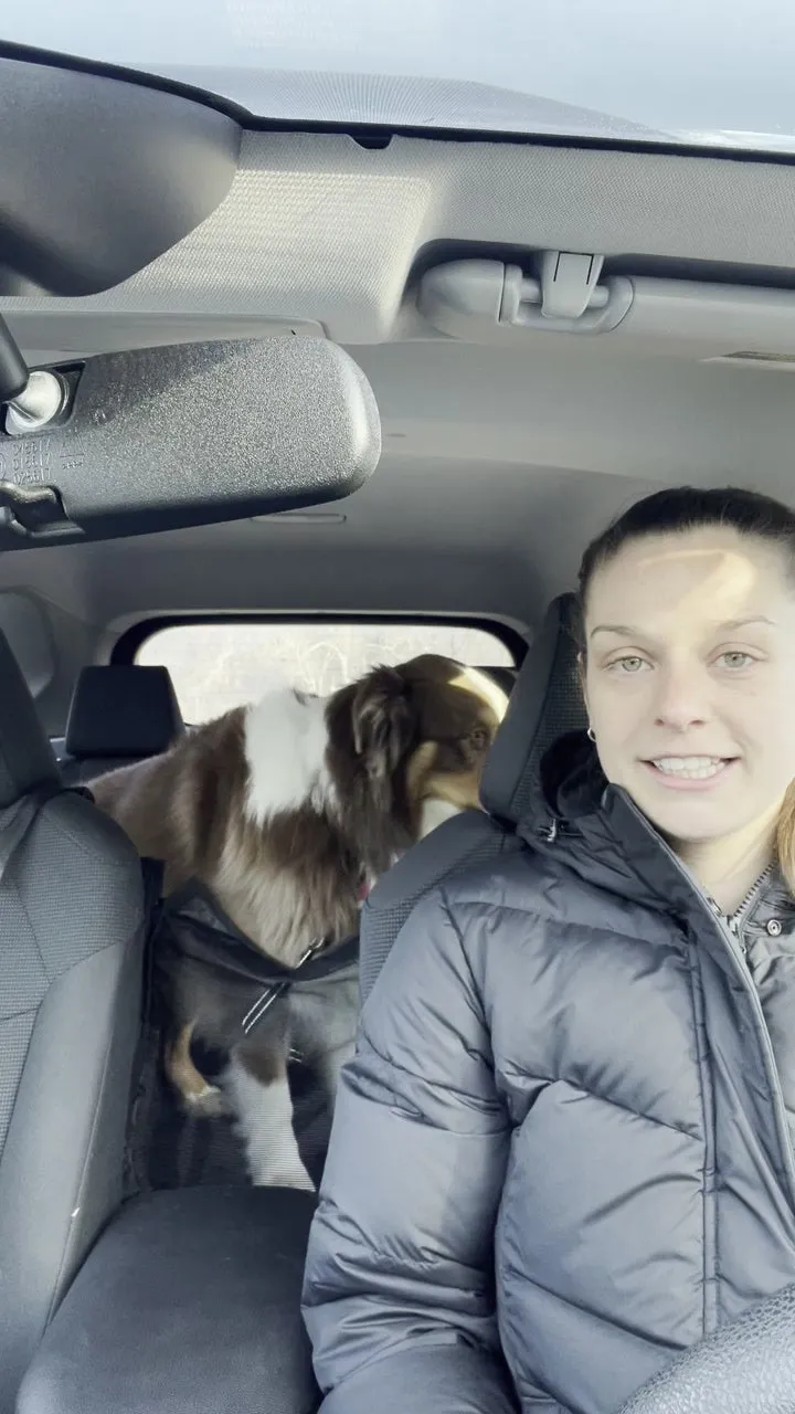 A customer in the driver's seat with her Australian Shepherd in the back of the car