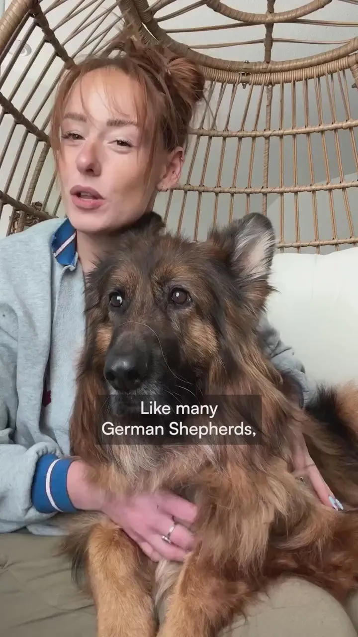 A woman sitting in a rattan chair with her arms around her long-haired German shepherd, talking to camera