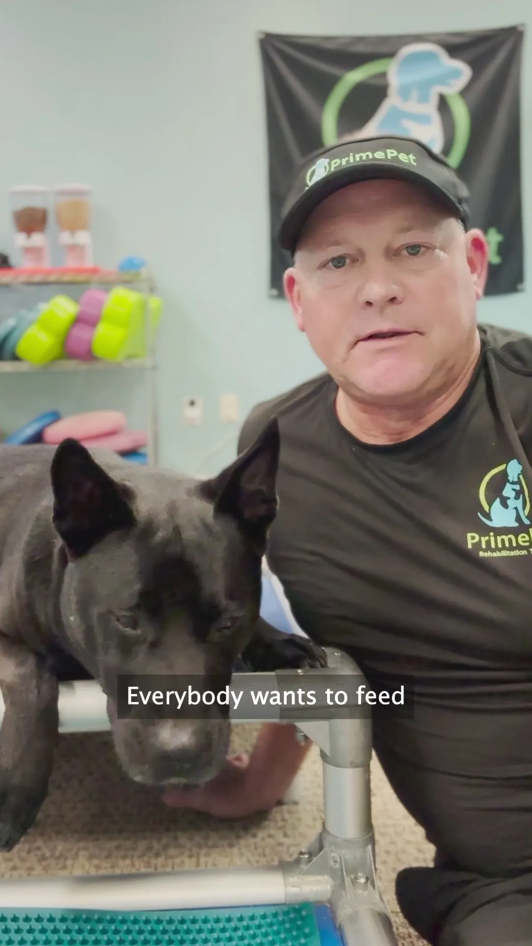 A man in a PrimePet cap and t-shirt kneeling beside a black dog in a rehab clinic, talking to camera