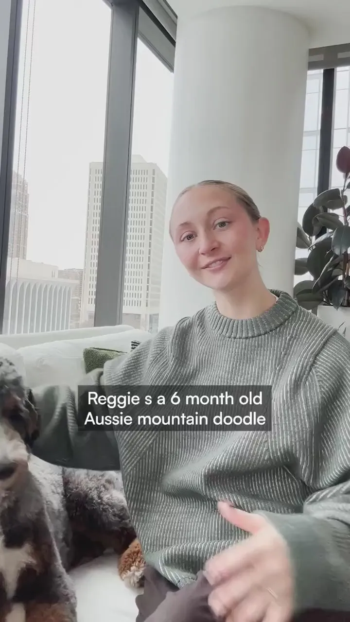 A young woman in a green jumper beside her six-month-old Aussie mountain doodle, Reggie, in a high-rise apartment