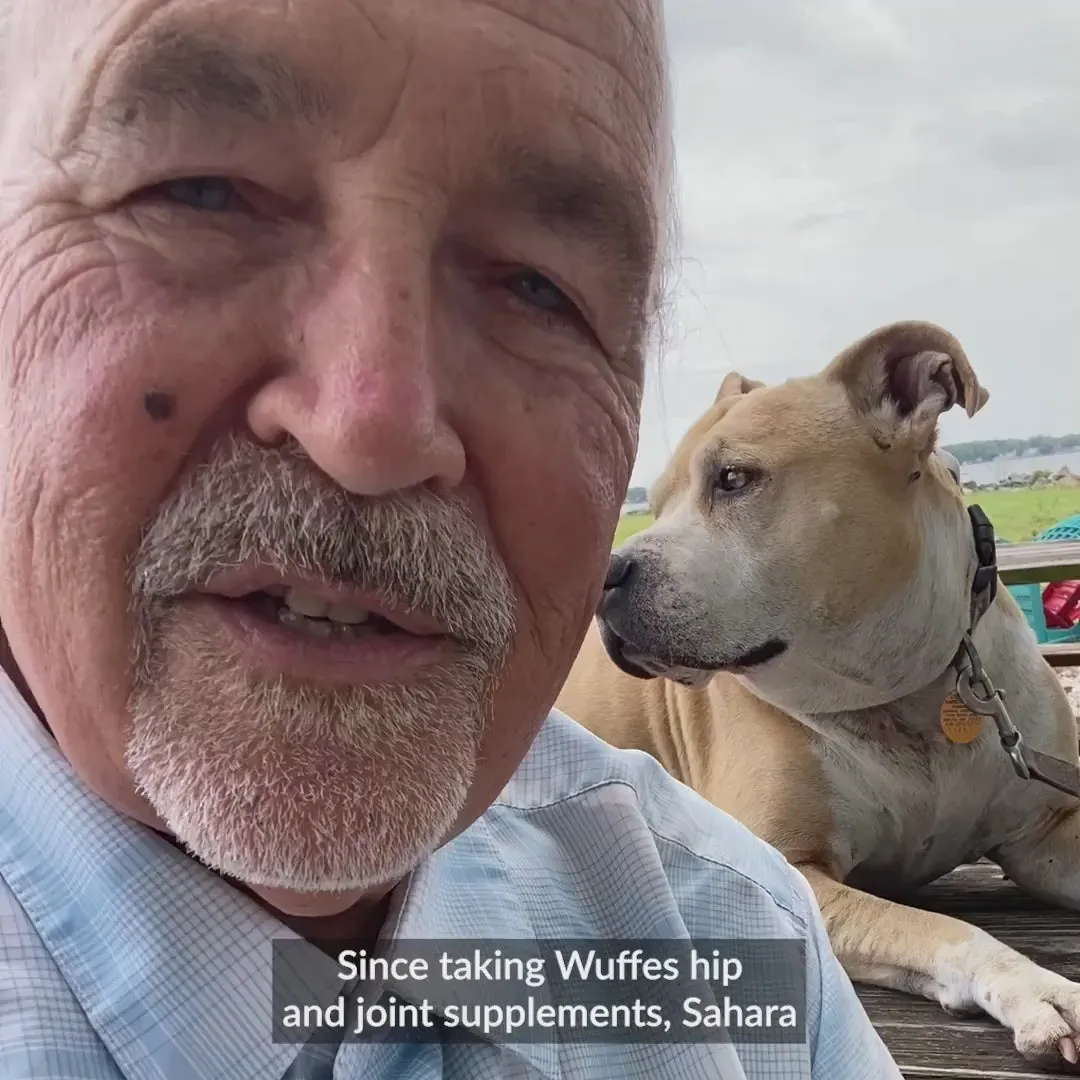 An older man with a white moustache speaking to camera beside his tan pit bull type dog resting on a picnic table