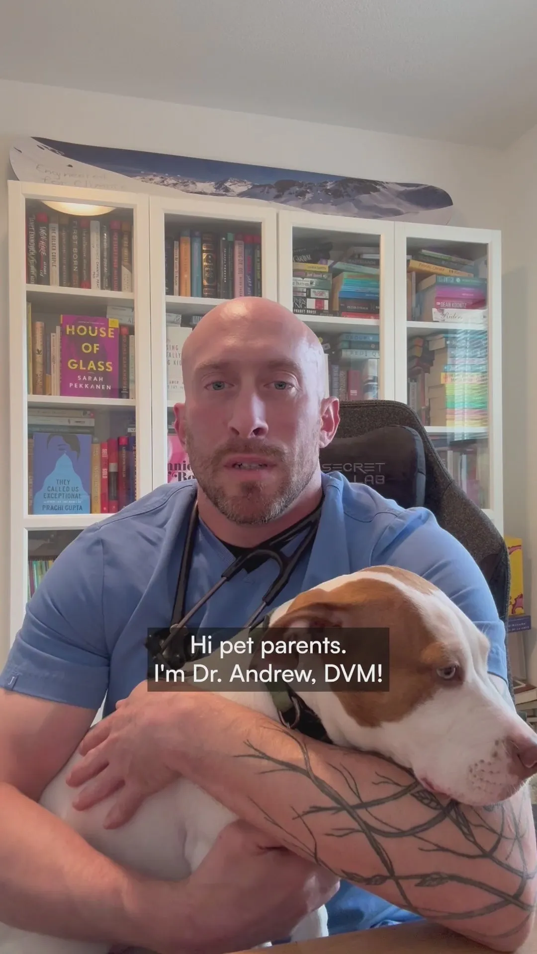 Veterinarian Dr. Andrew, in a blue shirt with a stethoscope, holding a brown and white dog in his lap as he introduces himself