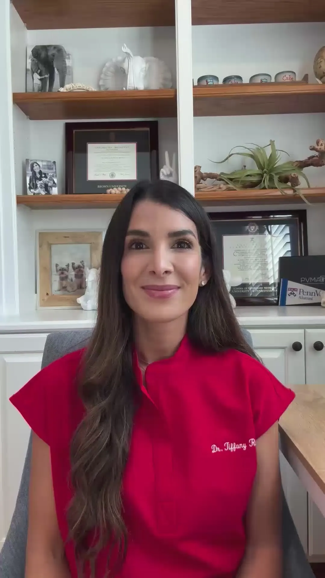 Veterinarian Dr. Tiffany Ruiz Da Silva seated in a kitchen in a red Wuffes top, about to speak to camera