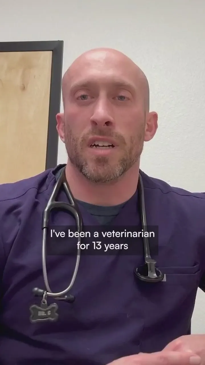 A veterinarian in purple scrubs with a stethoscope talking to camera about his thirteen years in practice