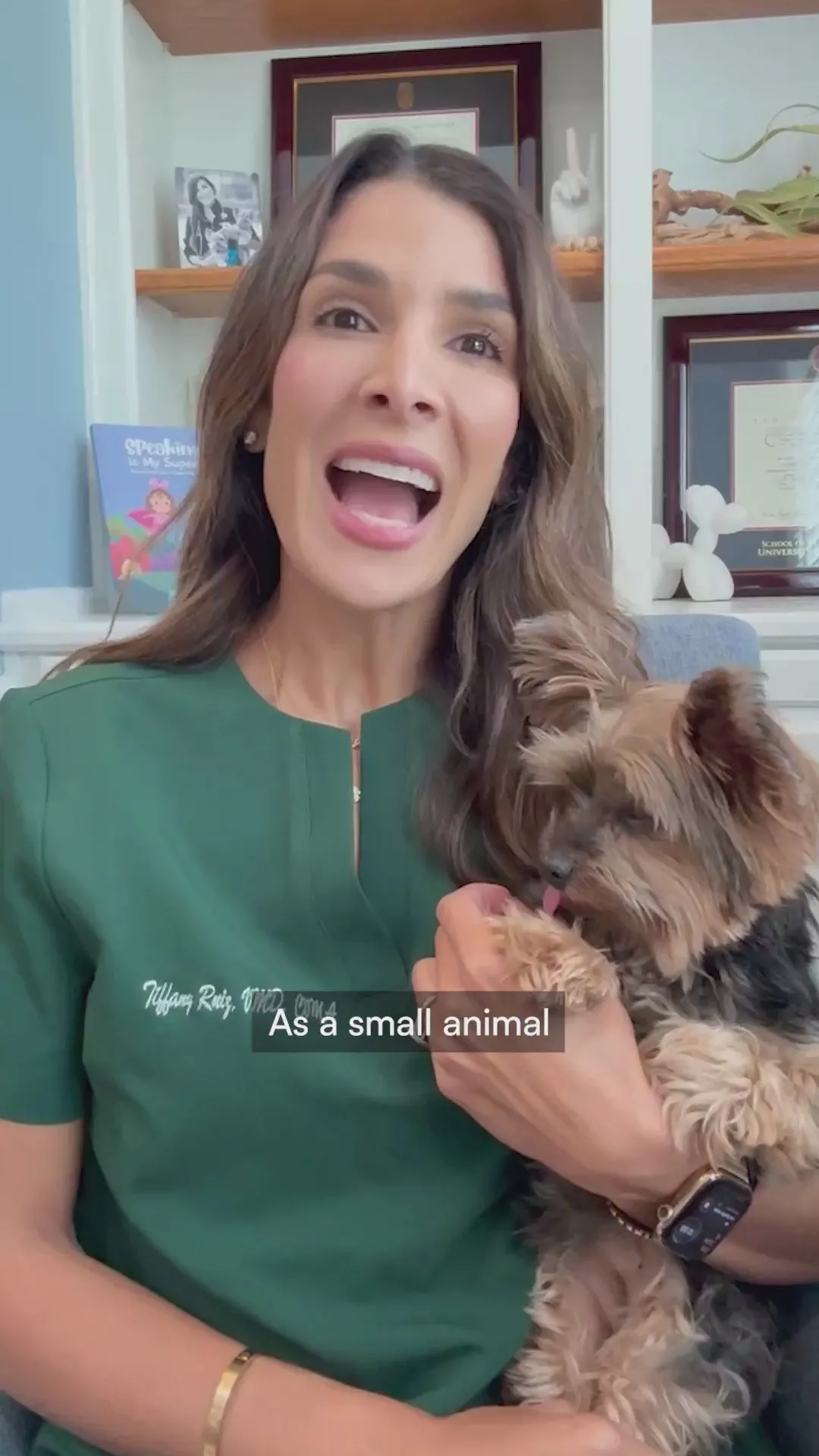 Veterinarian Dr. Tiffany Ruiz in a green top holding a Yorkshire terrier, talking to camera
