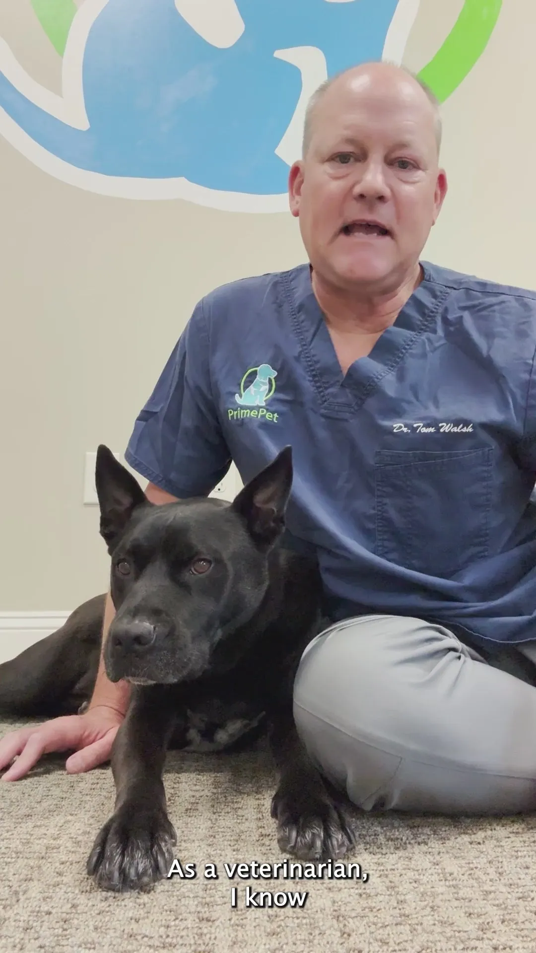 Dr. Tom Walsh in blue scrubs sitting on the floor beside a black dog, talking to camera