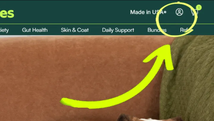 Close-up of the header with the account icon circled next to the cart