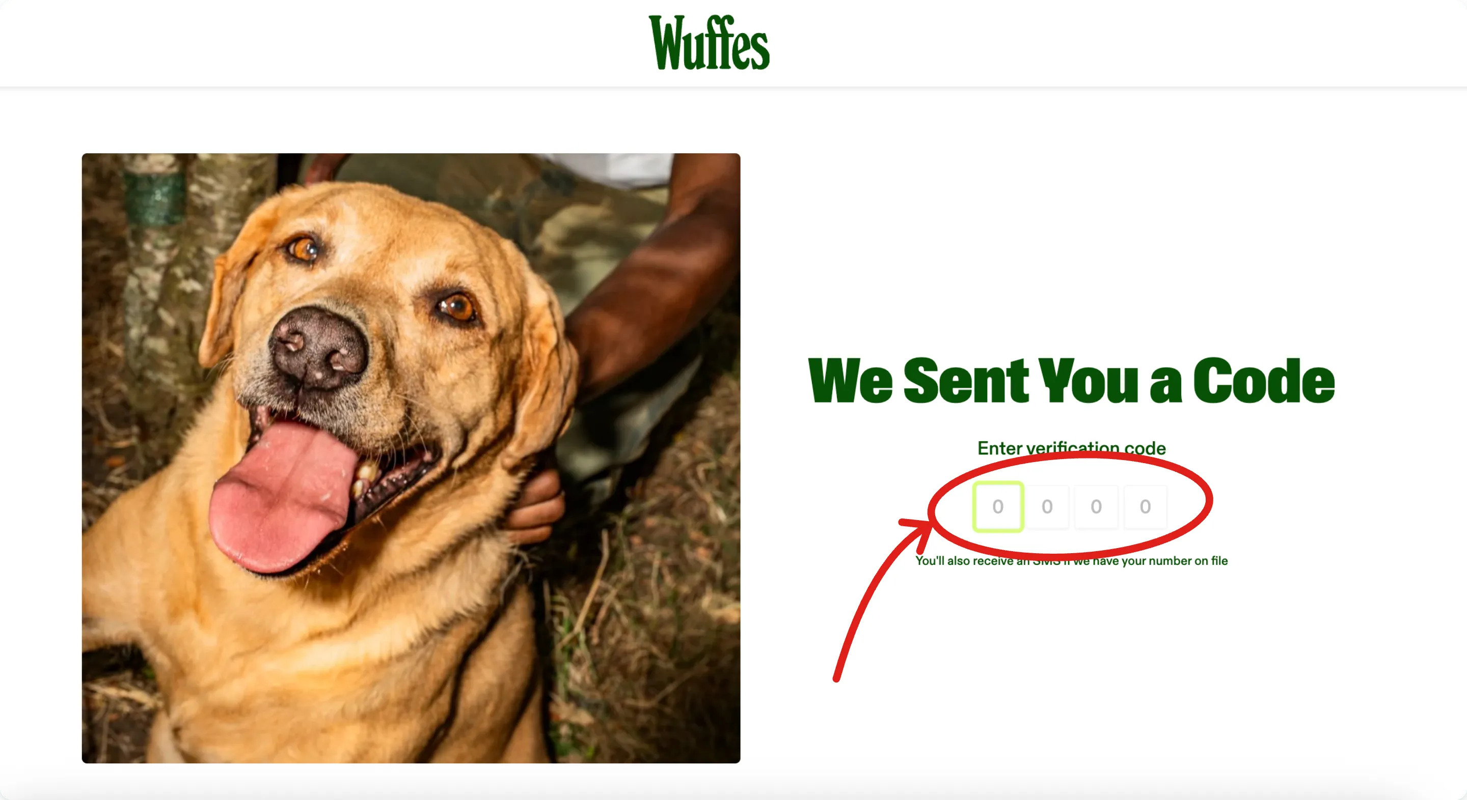 The “We Sent You a Code” page with the four verification code boxes circled