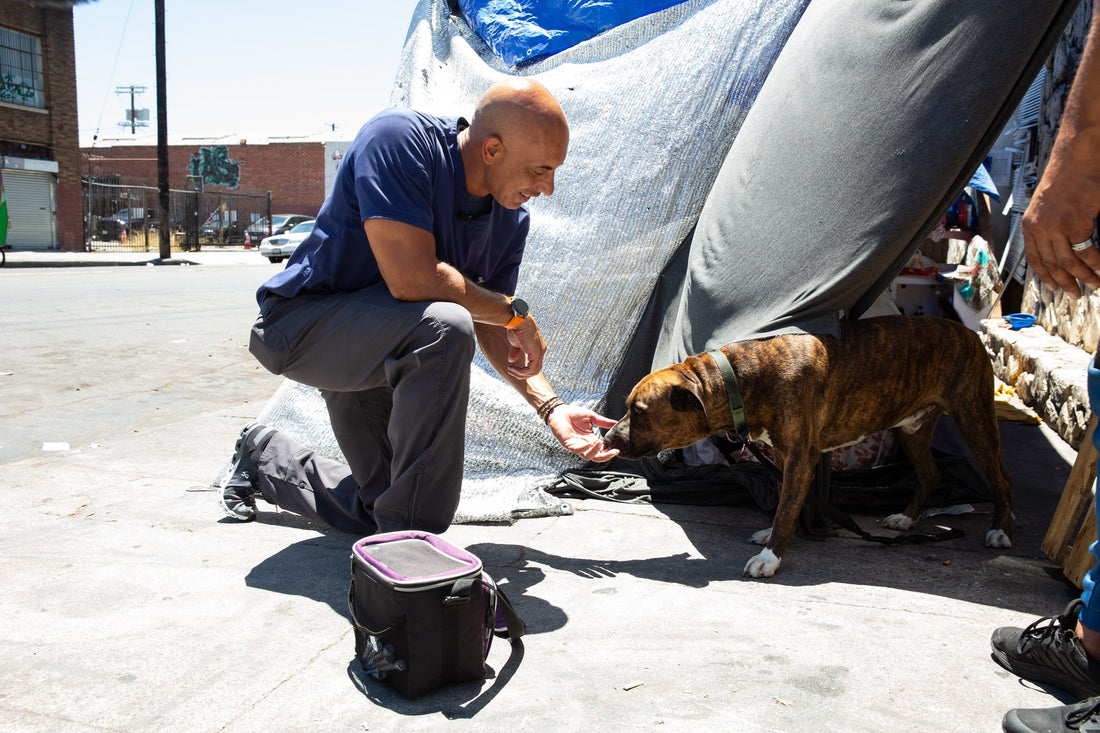 Every Dog Deserves Care: Supporting the Mission of Project Street Vet