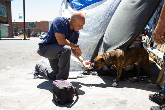 Every Dog Deserves Care: Supporting the Mission of Project Street Vet