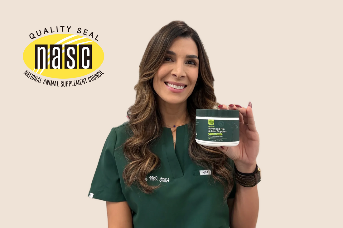 Why We’re Proud to Earn the NASC Seal: Transparency and Quality Assurance for Your Pup