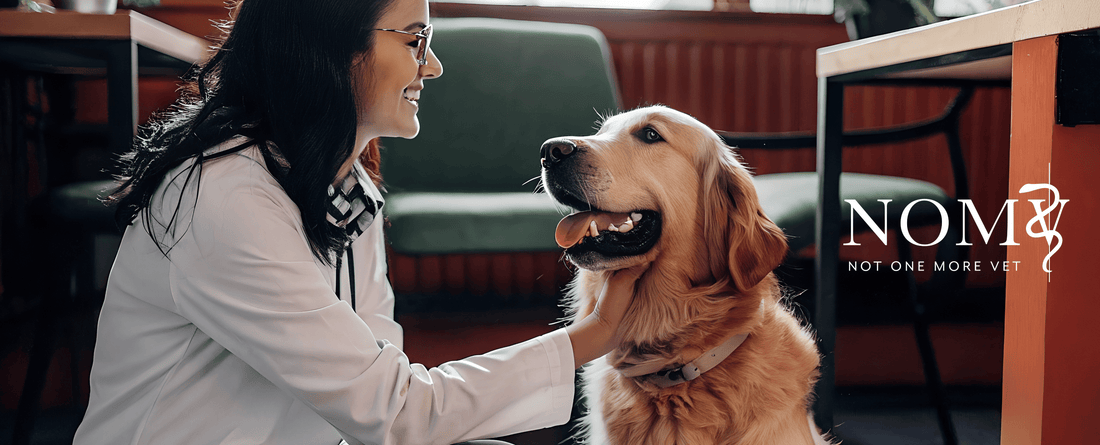 Supporting Those Who Care for Our Pets: Wuffes Partners with Not One More Vet (NOMV)