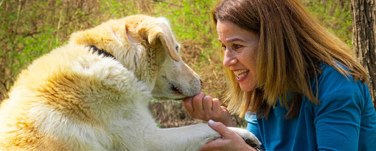 woman holding dog's paw 