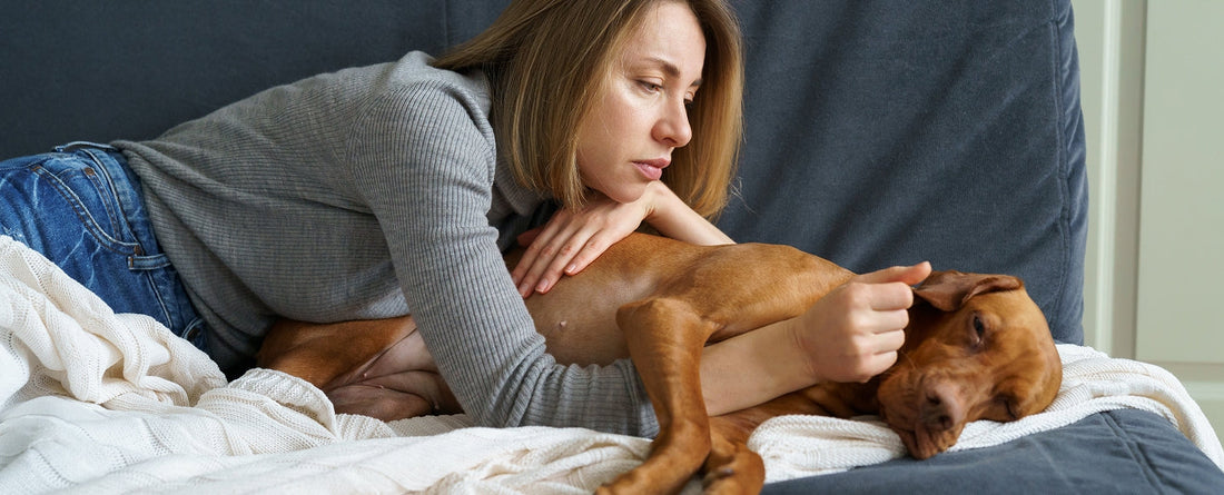 Why Is My Dog Vomiting After Exercise? Causes & How to Stop It
