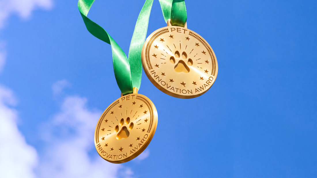Wuffes Wins Joint Supplement for Dogs Awards - 2 gold medals against a blue sky