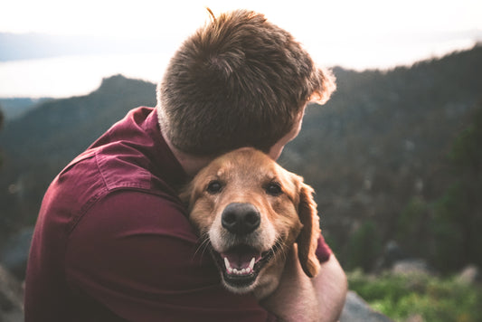 happy-healthy-dog