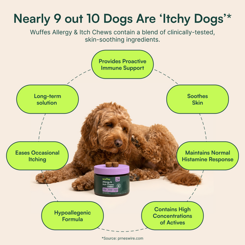 Allergy & Itch Chews