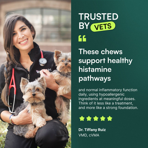 Allergy & Itch Chews