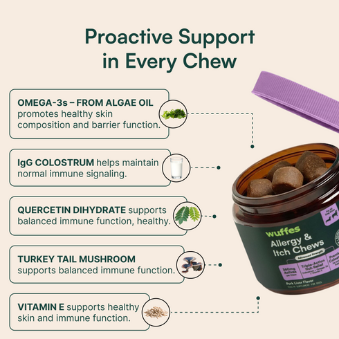 Allergy & Itch Chews