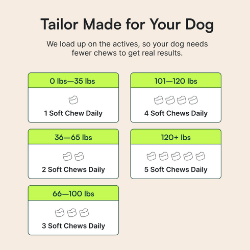 Allergy & Itch Chews