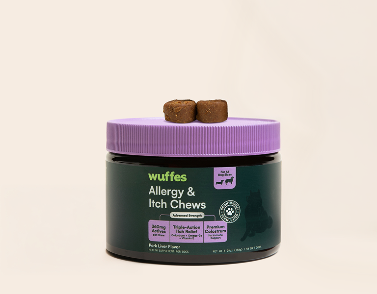 Container of dog allergy and itch chews with two brown chews on the lid against a light background